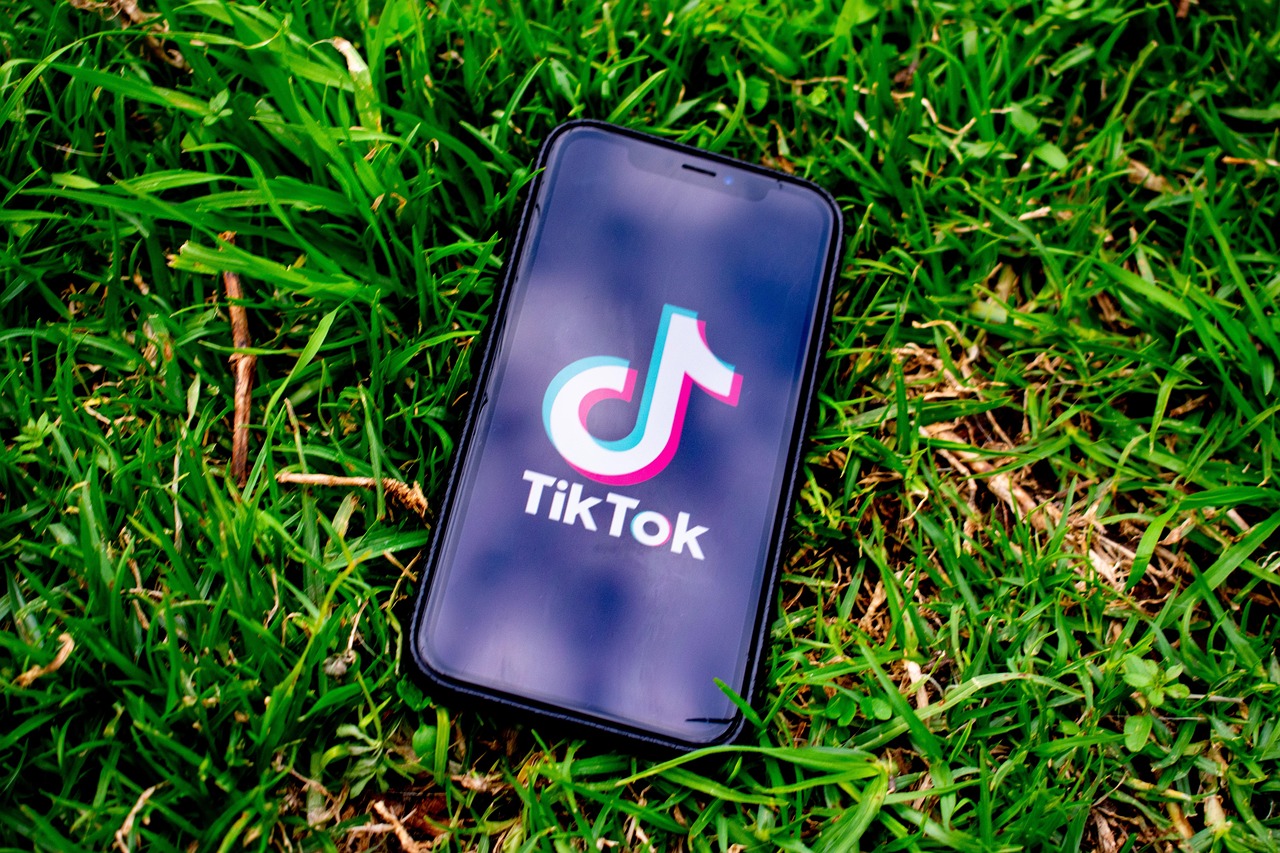 Мобильное приложение TripScan на телефоне